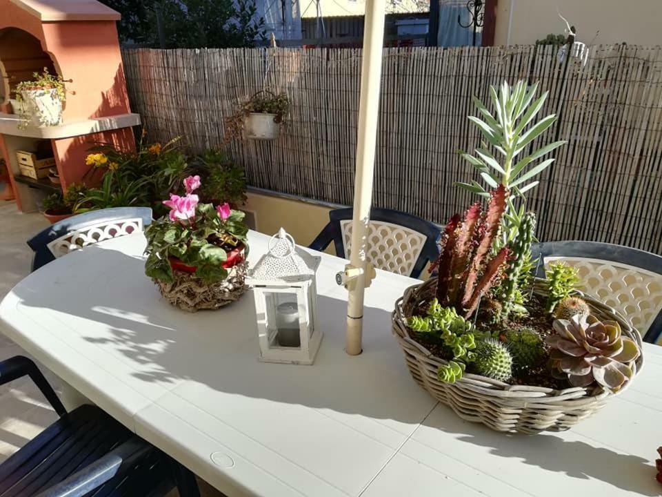 Melon'S House Villa Torre del Lago Puccini Dış mekan fotoğraf