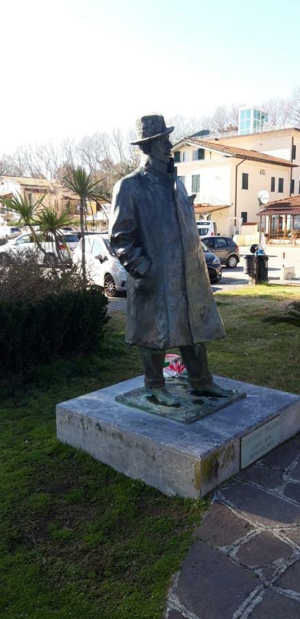 Melon'S House Villa Torre del Lago Puccini Dış mekan fotoğraf